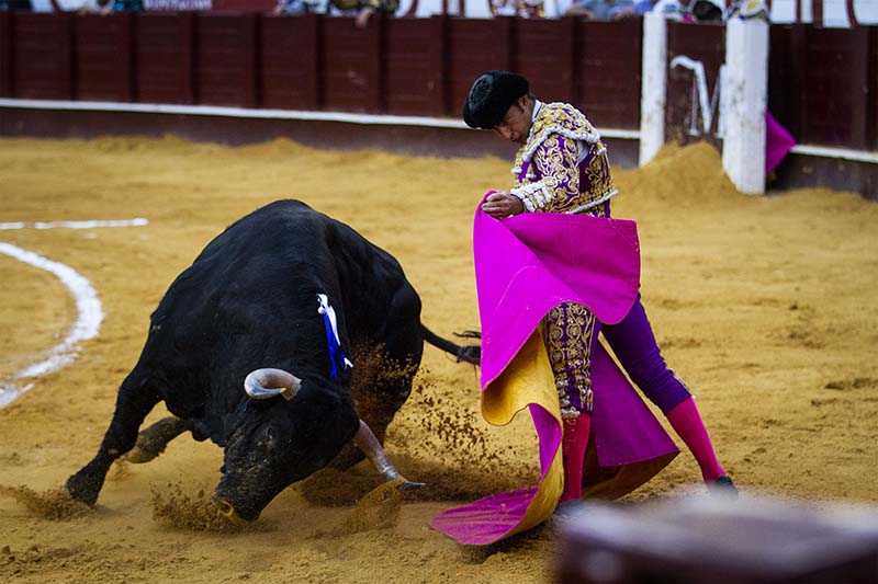 Spanish Bullfighting