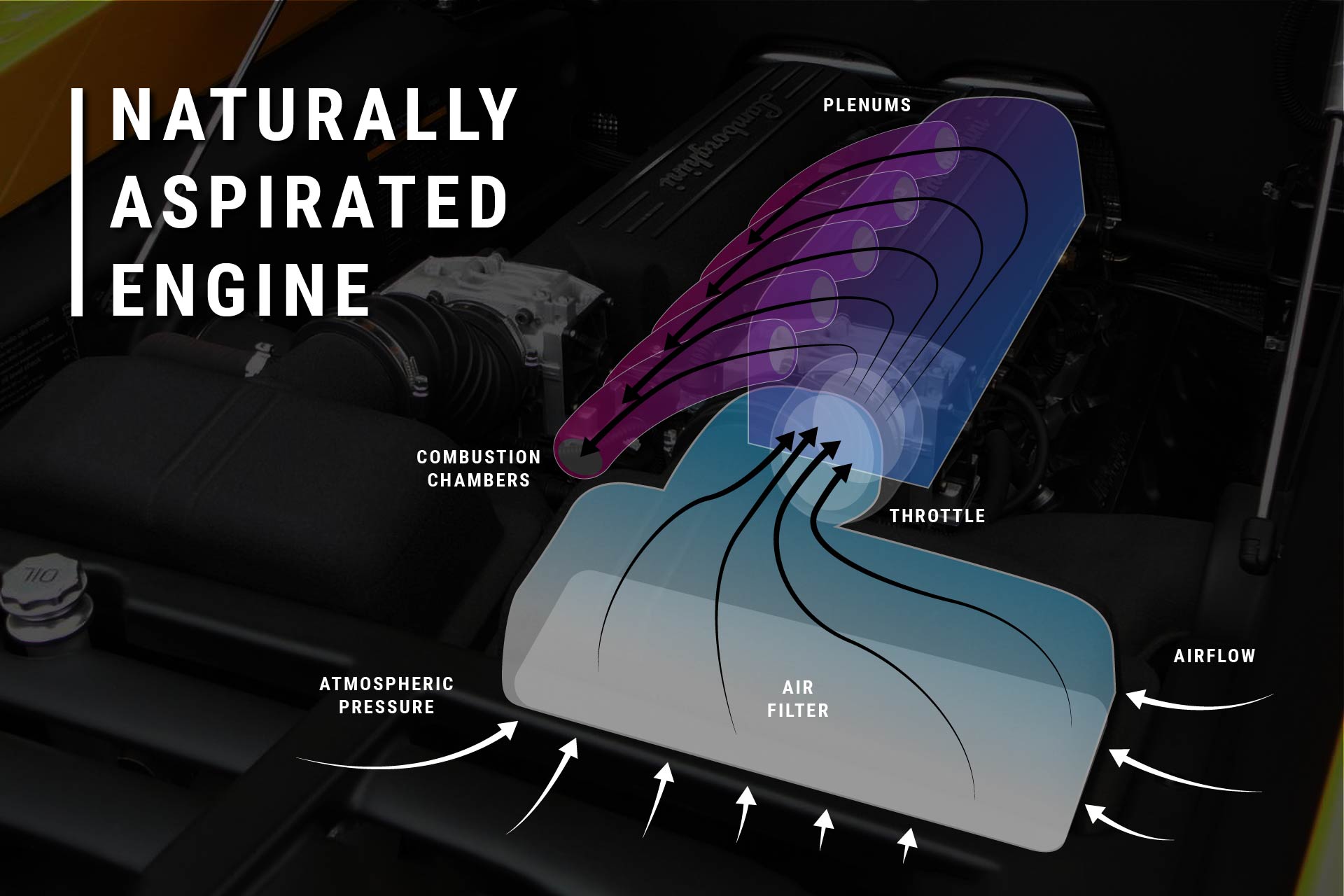 Diagram of a naturally aspirated engine. A Lamborghini V10 in a Gallardo.