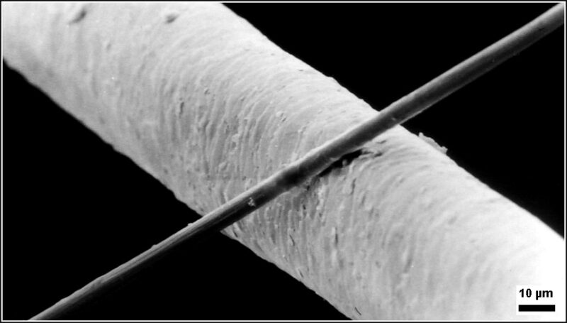 Electron Microscope image of a carbon briber strand and a human hair.